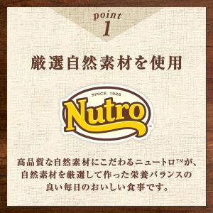 ニュートロ 子猫 キャット デイリー ディッシ...の詳細画像2