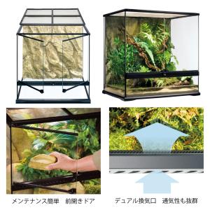 (大型)爬虫類ケージ GEX エキゾテラ グラ...の詳細画像1