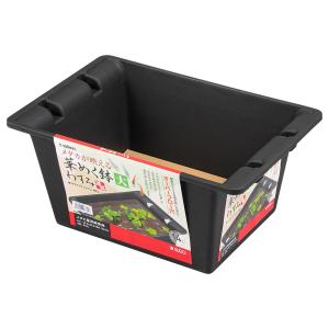 トロ舟40（幅61×奥行46．8×高さ18．5cm） お一人様1点