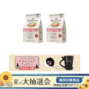 ニュートロ　子猫　シュプレモ　子猫用　チキン＆サーモン　４００ｇ×２袋　猫｜chanet