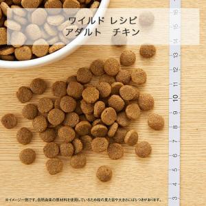 ニュートロ 猫 成猫用 ワイルドレシピ+シュプ...の詳細画像5