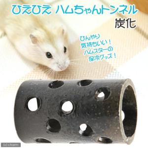 ハムスター 夏 対策の商品一覧 通販 Yahoo ショッピング