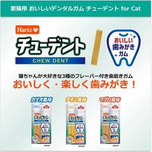 ハーツ チューデント For Cat マグロ風...の詳細画像1