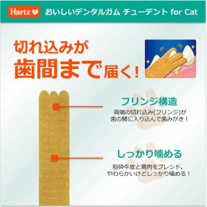 ハーツ チューデント For Cat マグロ風...の詳細画像2