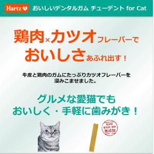 ハーツ チューデント For Cat マグロ風...の詳細画像3