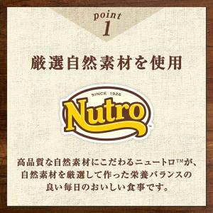 ニュートロ 猫 キャット デイリー ディッシュ...の詳細画像2
