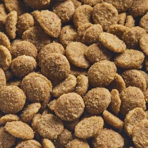 ニュートロ 猫 シュプレモ 成猫用 サーモン&...の詳細画像4