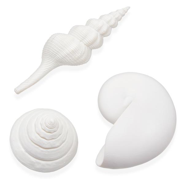 アウトレット品　Ｏａｓｅ　バイオーブ　貝殻セット　ホワイト　訳あり