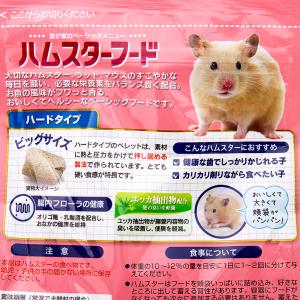 日本ペットフード ハムスターフード ハードタイ...の詳細画像2