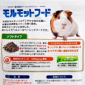 日本ペットフード モルモットフード ソフトタイ...の詳細画像2