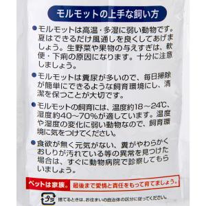 日本ペットフード モルモットフード ソフトタイ...の詳細画像5