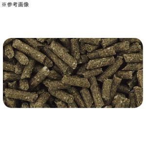 日本ペットフード モルモットフード ハードタイ...の詳細画像2