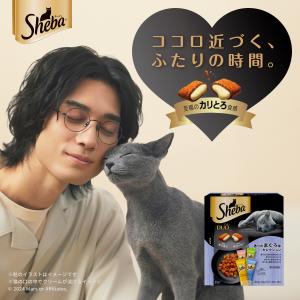 キャットフード シーバ デュオ 200g お腹...の詳細画像1