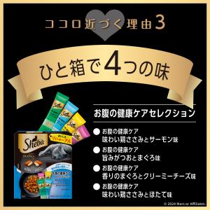 キャットフード シーバ デュオ 200g お腹...の詳細画像4