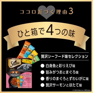 キャットフード シーバ デュオ 200g お魚...の詳細画像4