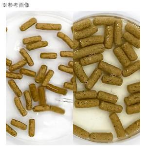 キョーリン レオパドライ 500g 餌 フード...の詳細画像3