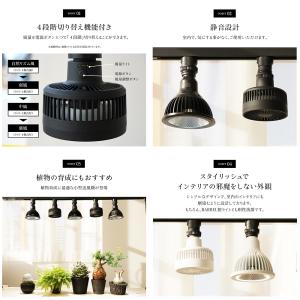 植物用ファン BARREL Aechmea エ...の詳細画像4
