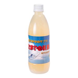 たまやメダカ　たまやの乳酸菌　５００ｍｌ　めだか　針子　餌　エサ　ＰＳＢ　液体フード　水質調整