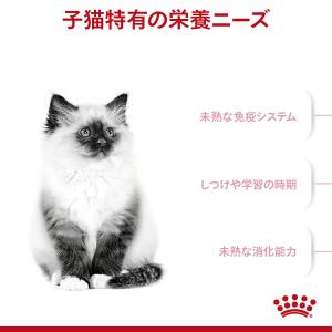 ロイヤルカナン 子猫 キトン 成長後期の子猫用...の詳細画像1