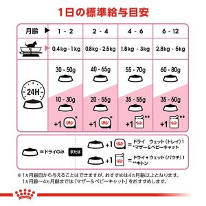 ロイヤルカナン 子猫 キトン 成長後期の子猫用...の詳細画像5
