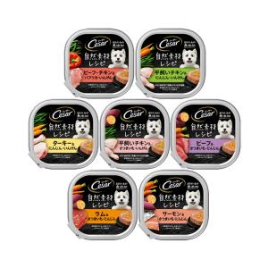シーザー シーザー 吟撰ビーフ まぐろ入り 100g 24個