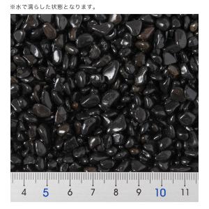 シンセー 観賞魚用底砂 ブラックホール 1.5kgの詳細画像4
