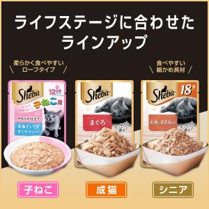 シーバ リッチ まぐろ 35g×12袋の詳細画像2