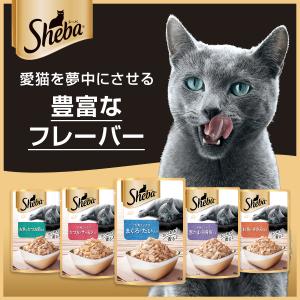 シーバ リッチ まぐろ 35g×12袋の詳細画像3