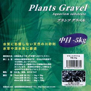 JUN プランツグラベル 中目 5kg 天然川...の詳細画像1