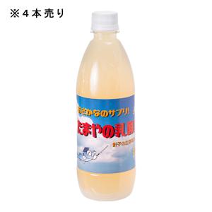 たまやメダカ たまやの乳酸菌 500ml ×4...の詳細画像1