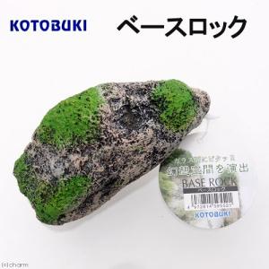アウトレット品　コトブキ工芸　ベースロック　熱帯魚　レイアウト　訳あり