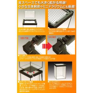 爬虫類ケージ コトブキ工芸 ヒュドラケース 1...の詳細画像4