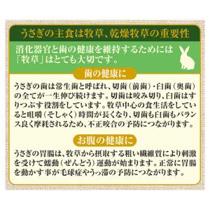 GEX 彩食健美 7種ブレンド 1.8kg×3の詳細画像2