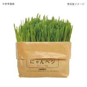 猫 猫草 ハリオ 猫草栽培キット にゃんベジリ...の詳細画像1