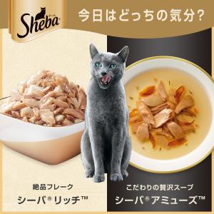 シーバ リッチ ささみ 35gの詳細画像5