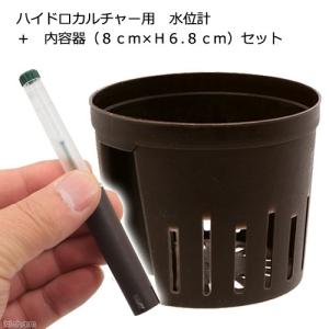 ハイドロカルチャー用　水位計　＋　内容器（Φ８ｃｍ×Ｈ６．８ｃｍ）セット