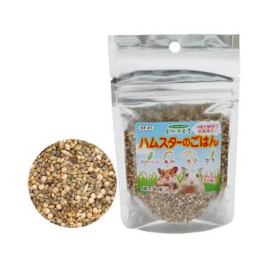 黒瀬ペットフード　自然派宣言　ハムスターのごはん　４０ｇ　ハムスター　フード
