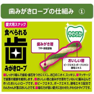 アース・ペット 食べられる歯みがきロープ 愛犬...の詳細画像2