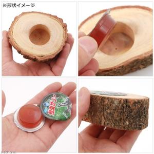 マルカン 平型ゼリー用エサ皿 丸 2個入 カブ...の詳細画像1