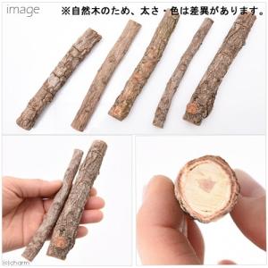マルカン 昆虫のくつろぎ小枝 5本入の詳細画像1