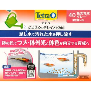 テトラ じょうろでキレイメダカ鉢 40 色光育...の詳細画像2