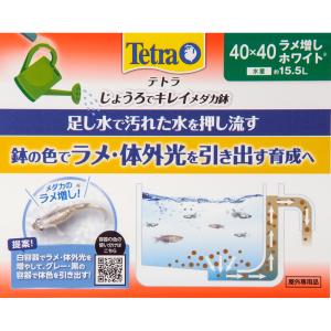 テトラ じょうろでキレイメダカ鉢 40×40 ...の詳細画像2