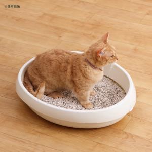 猫砂 アイリスオーヤマ クリーンサンド 5L ...の詳細画像5