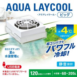 GEX アクアレイクール ビッグ USBアダプ...の詳細画像1