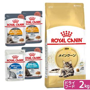 ソリッドゴールド インディゴムーン ( 2kg )/ キャットフード ) : 爽快