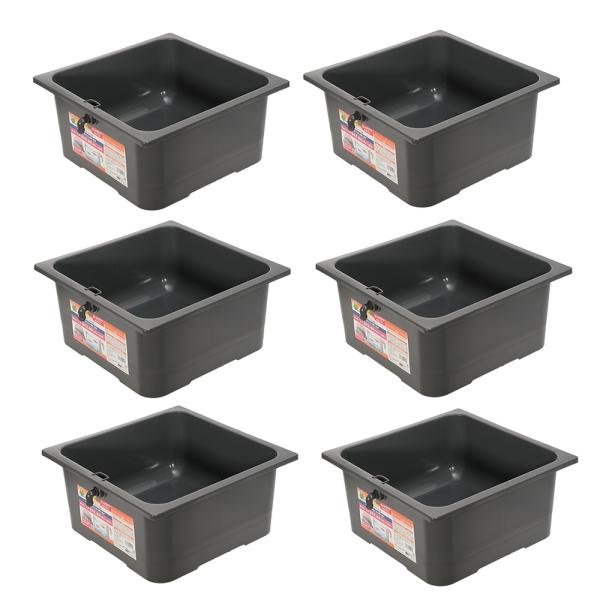 テトラ　じょうろでキレイメダカ鉢　４０×４０　色光育成グレー×６　めだか　水槽　鉢　屋外　水足しだけ...