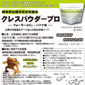 クレスパウダープロ 80g ウォーターメロン・...の詳細画像1