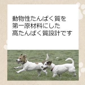 ドッグフード メディコートアドバンス グレイン...の詳細画像1