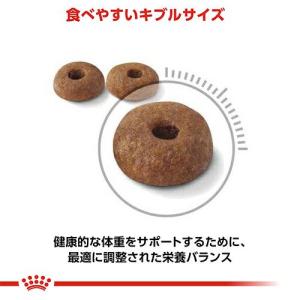 ロイヤルカナン 猫 減量したい成猫用 ライト ...の詳細画像4