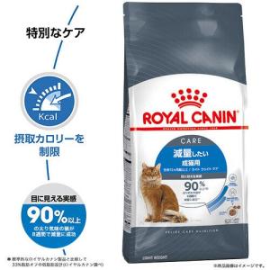 送料無料 ロイヤルカナン 猫 減量したい成猫用...の詳細画像2